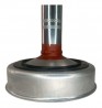 Imagem 6