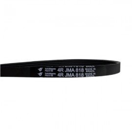 Correia Da Lavadora Mueller Family 10 / Agile 4PJE818 EJ139 100028260