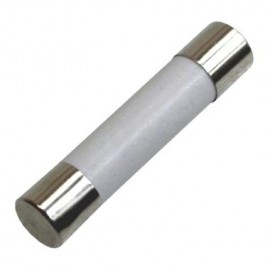 Fusivel Microondas Ceramica 15a Tamanho 6x30 Gr