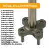 Imagem 6
