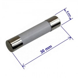 Fusivel de Ceramica 20 Amperes Tamanho 6x30mm grande ( fusivel de microondas )