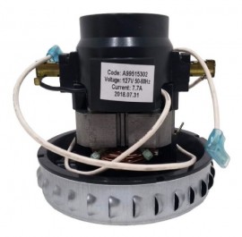 Motor do Aspirador de Po Electrolux GT20N GT3000 Antigo 127V ( Ponta de estoque )