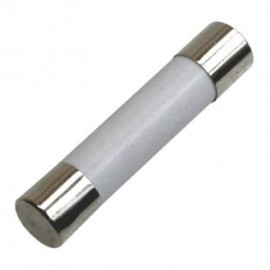 Fusivel de Ceramica 20 Amperes Tamanho 6x30mm grande ( fusivel de microondas )
